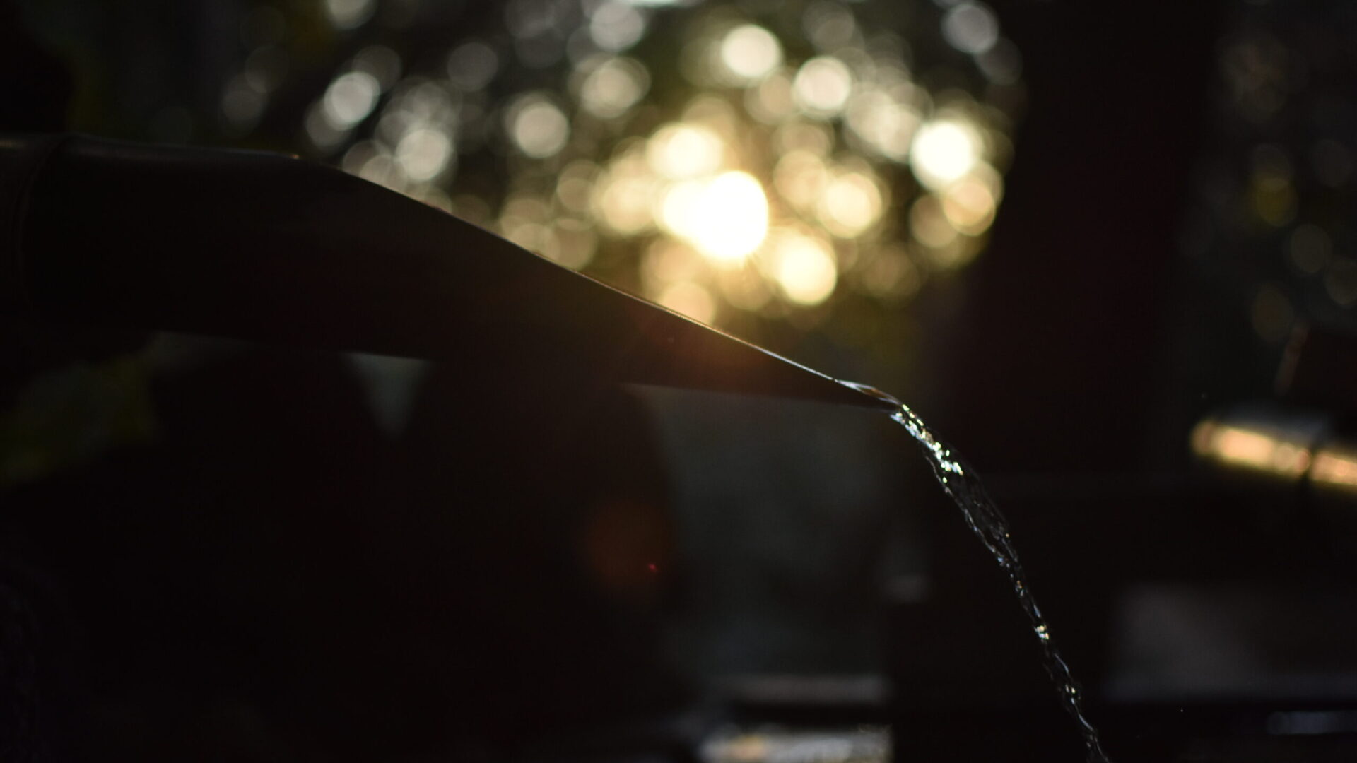 D7A44604-C2D7-4D4E-8949-DEEF8BE56B14